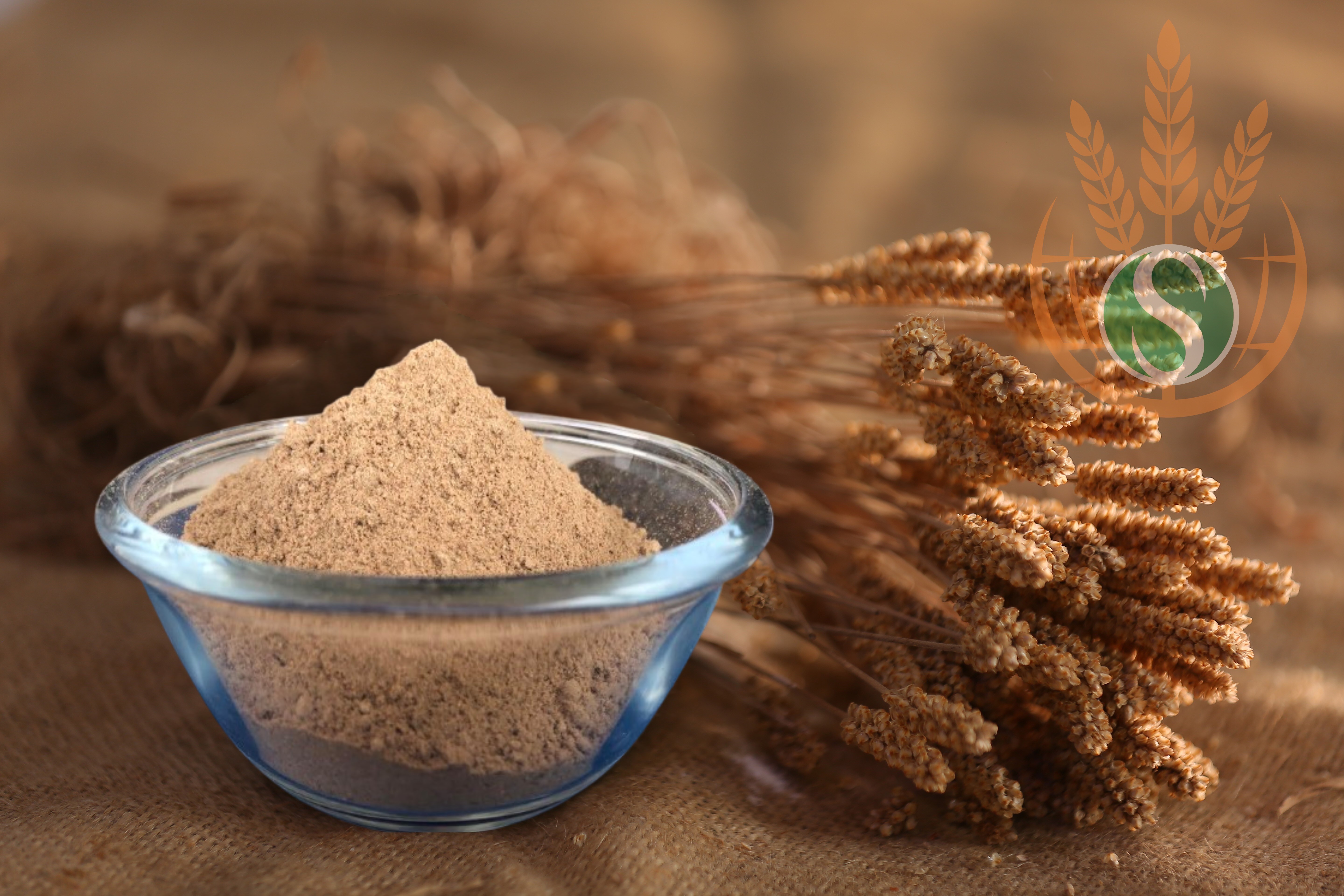 Psyllium Powder for Pet Foods